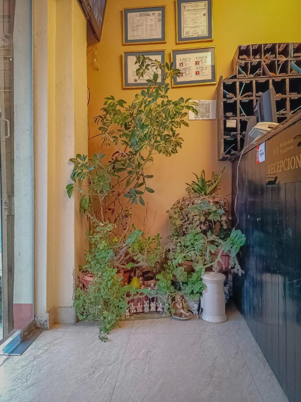 Hostal Terrabella Srl La Paz Extérieur photo